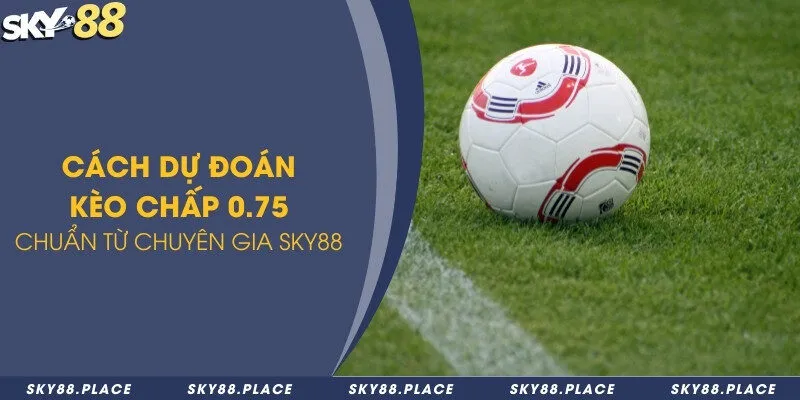 Kèo 0.75 là gì? Chia sẻ 3+ cách dự đoán kèo 0.75 cực chuẩn 3 Cách dự đoán kèo chấp 0.75 chuẩn từ chuyên gia Sky88