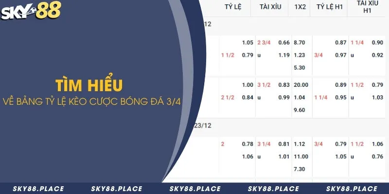 Kèo 3/4 là gì? Hướng dẫn đọc kèo 3/4 khi chơi cá độ bóng đá online 1 Tìm hiểu về bảng tỷ lệ kèo cược bóng đá 3/4